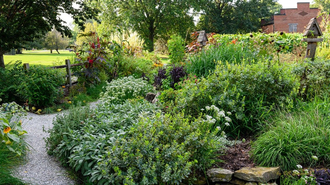 Exterior garden in the summer with lush green foliage and flowers.