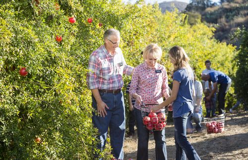 senior couple missionary serving in orchard