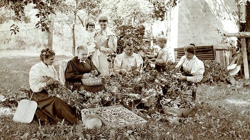 mujeres trabajando