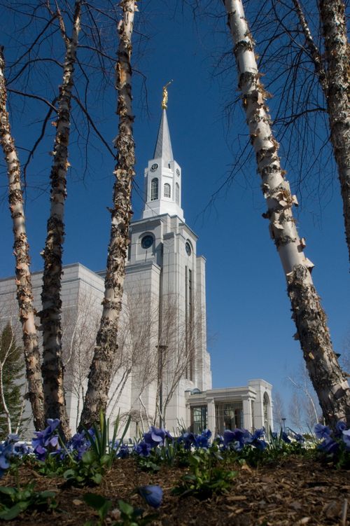A side view of the entrance to the Boston Massachusetts Temple, seen between trees on the grounds.