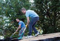 Shingling Service Project