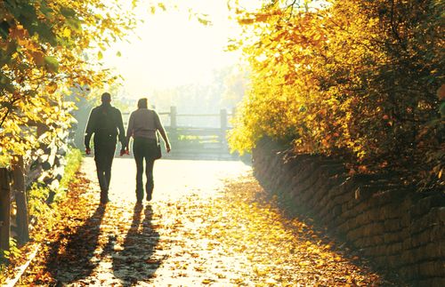 couple walking and holding hands