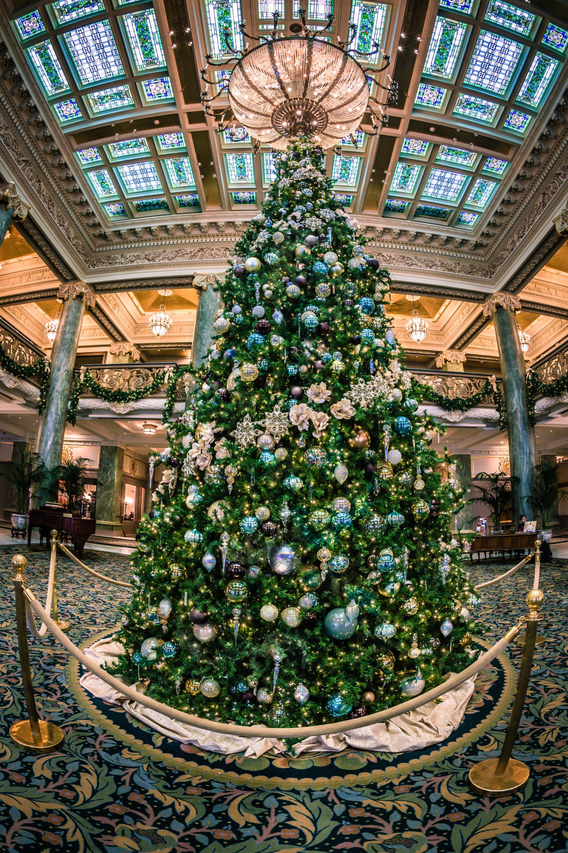 A Christmas tree stands in the lobby of the Joseph Smith Memorial Building.