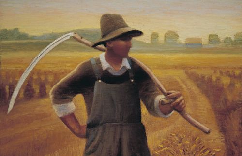 man in wheat field