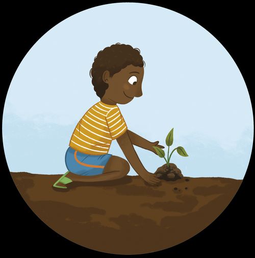 boy planting the small plant