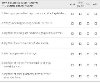 gruppeevaluering