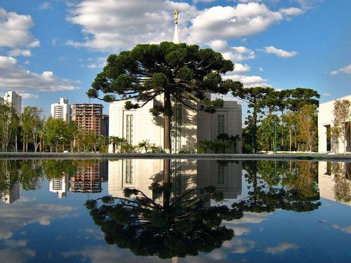 A large tree growing in front of the Curitiba Brazil Temple, reflected in a pool of water below.