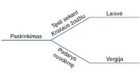 schema, pasirinkimas ir pasekmės