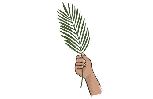 hand holding palm leaf