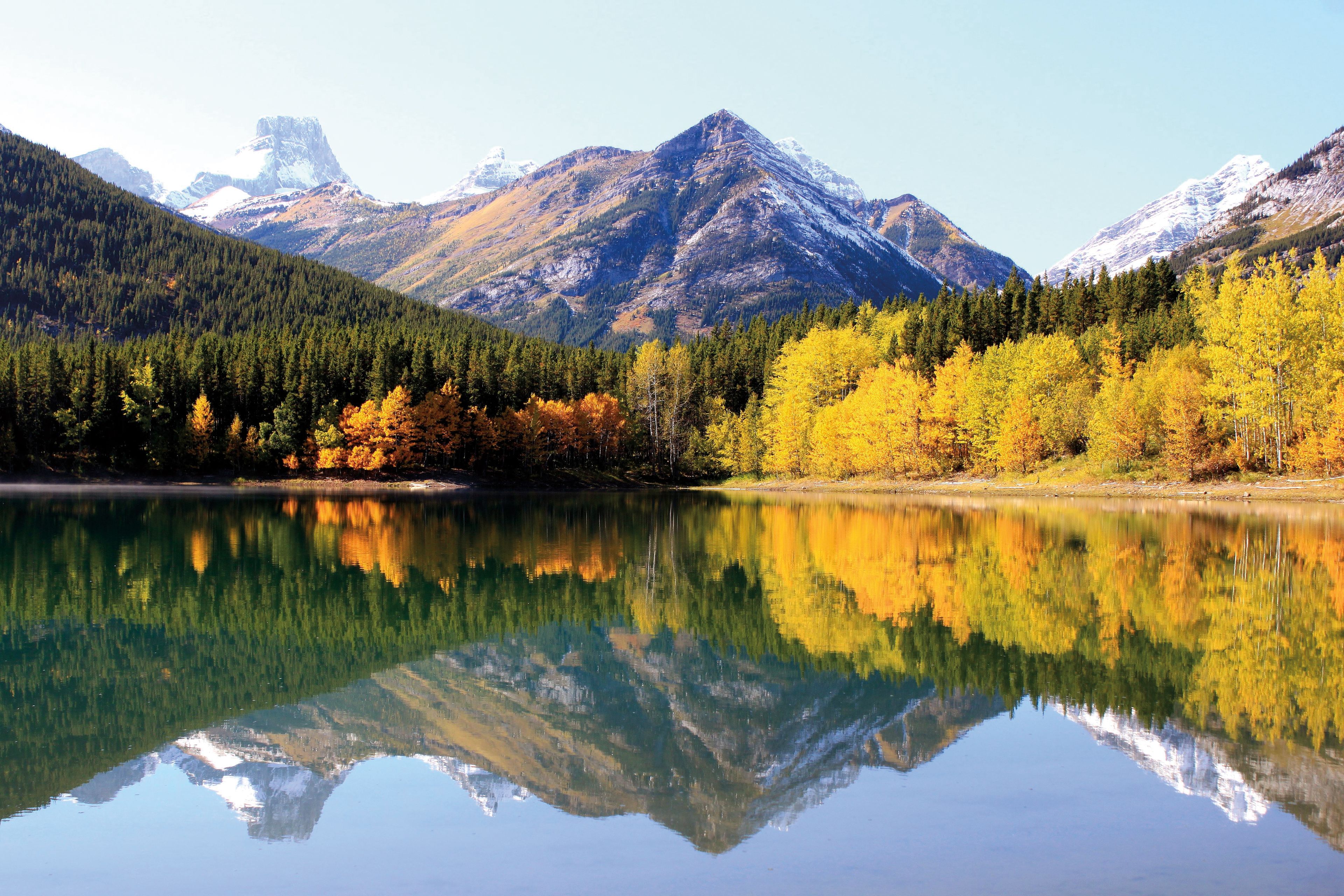 Mountains, evergreens, and quaking aspens with leaves changing colors are reflected in a lake at Banff National Park in Alberta, Canada.