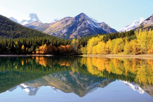 Snowy mountains behind a forest of evergreens and quaking aspens with yellow and orange leaves, reflected in the lake at Banff National Park in Alberta, Canada, in autumn.