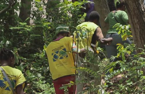 Planting trees in Haiti