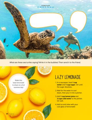 Photo of turtles and photo of lemons