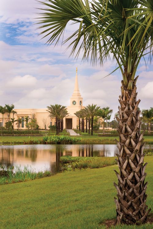 A large palm tree on the grounds of the Fort Lauderdale Florida Temple, with the temple seen in the background reflected in a pond.