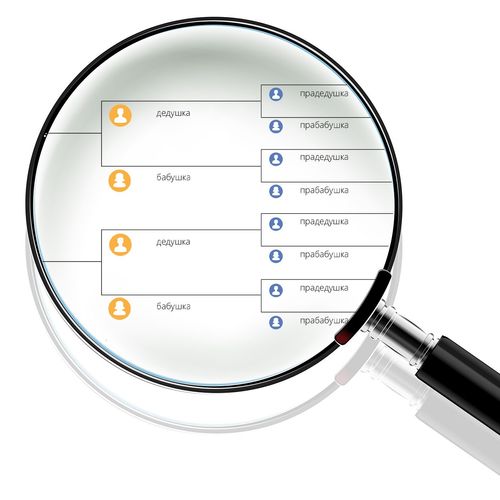 magnifying glass and pedigree chart