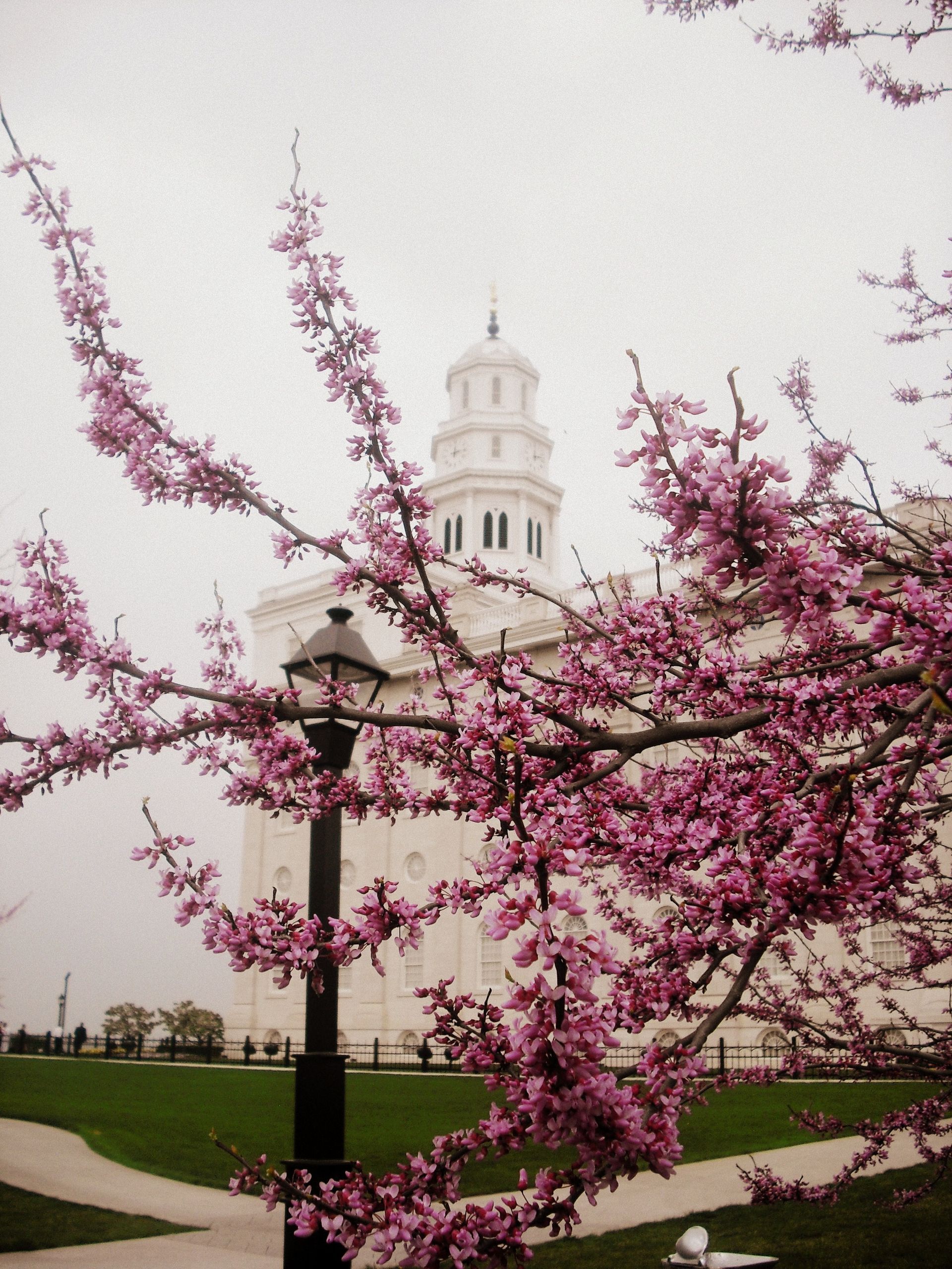 The Nauvoo Illinois Temple spire, including scenery.