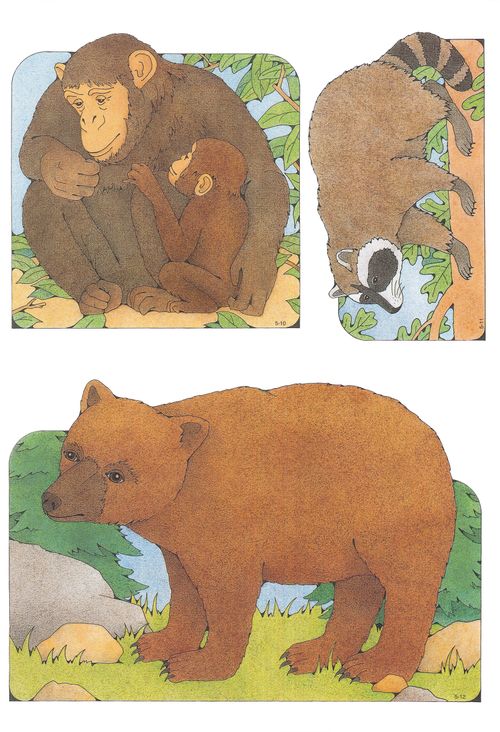 Primary cutouts of a mother chimpanzee sitting with her baby, a raccoon walking, and a bear standing on grass near rocks and pine trees.