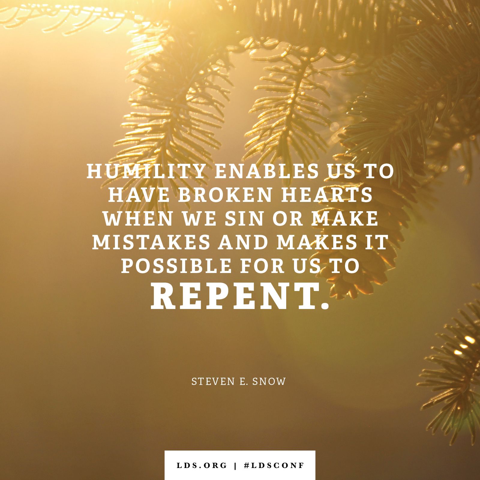 “Humility enables us to have broken hearts when we sin or make mistakes and makes it possible for us to repent.” —Elder Steven E. Snow, “Be Thou Humble”