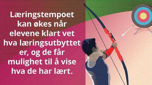 Ha et klart bilde av læringsutbyttet – meme