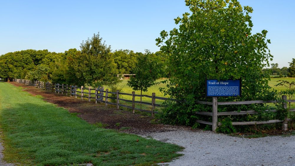 A woodchip-covered path along a tree-lined fence with a strip of grass on the left-hand side of the path.