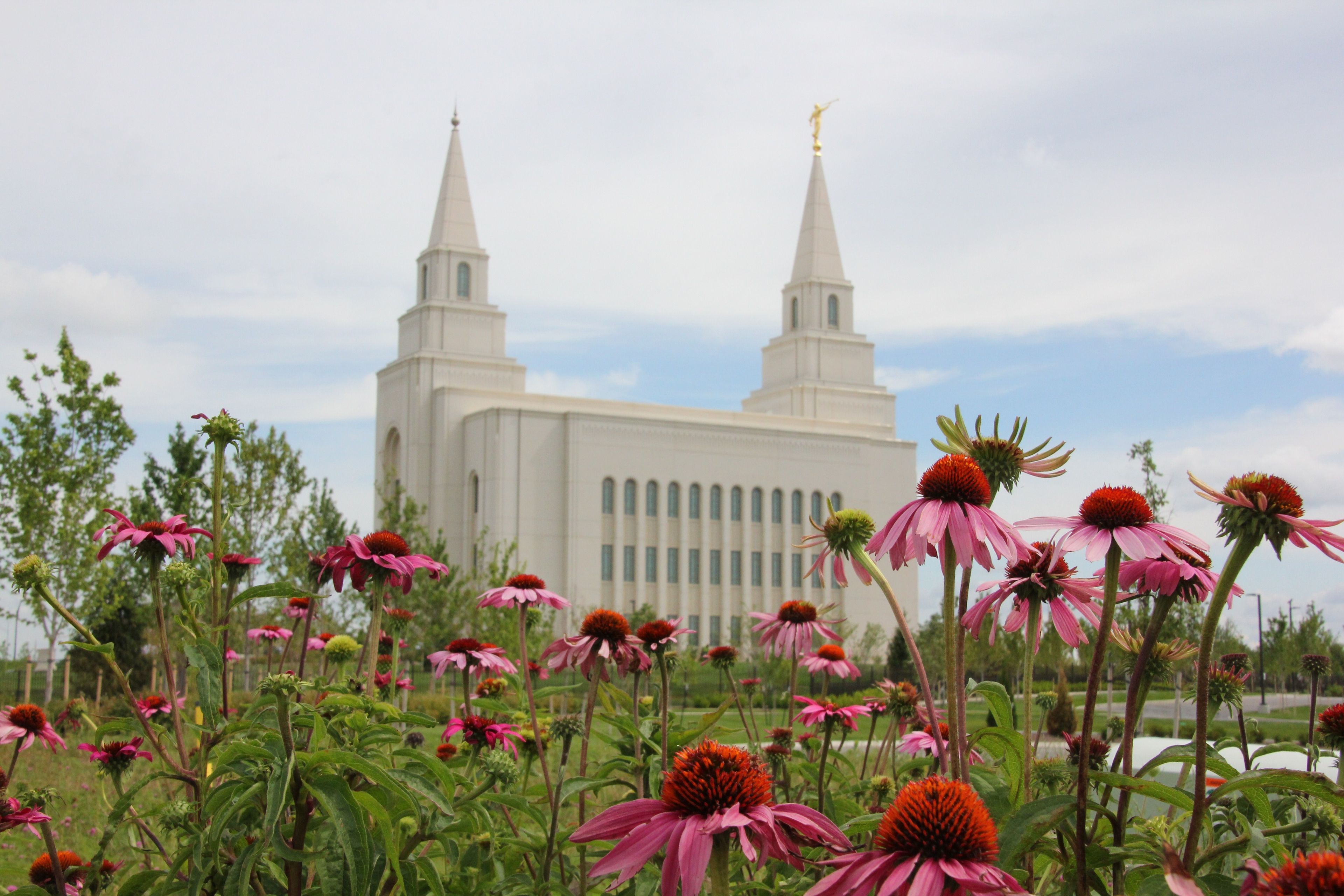 Flowers on the grounds of the temple frame an exterior view of the Kansas City Missouri Temple.