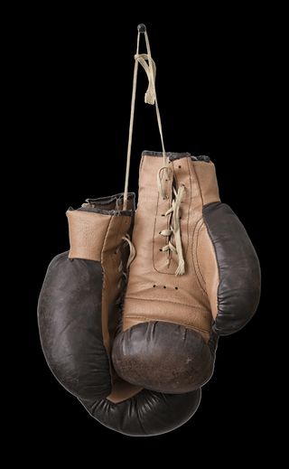 Boxing Gloves