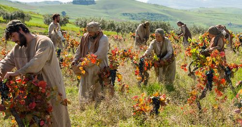 Men and women working in a vineyard picking grapes. Outtakes include the Lord of the vineyard, hiring workers to work in the vineyard, people picking grapes, being paid for their labors and also some pictures of the surrounding countryside/landscape and people working on the film