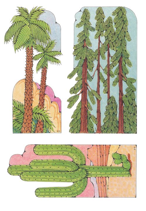 Primary cutouts of two palm trees, tall pine trees, and a cactus in the desert.