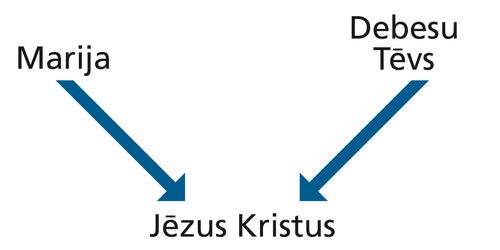 Diagram with the words Mary and Heavenly Father and arrows pointing to the words Jesus Christ.