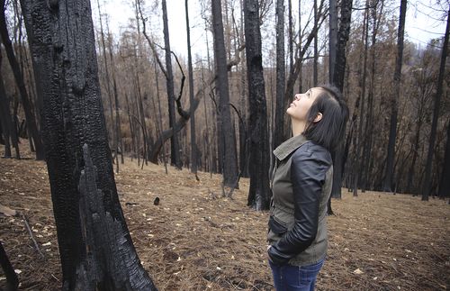 young woman looking up at burnt trees