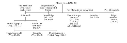 skicë e familjes së Herodit