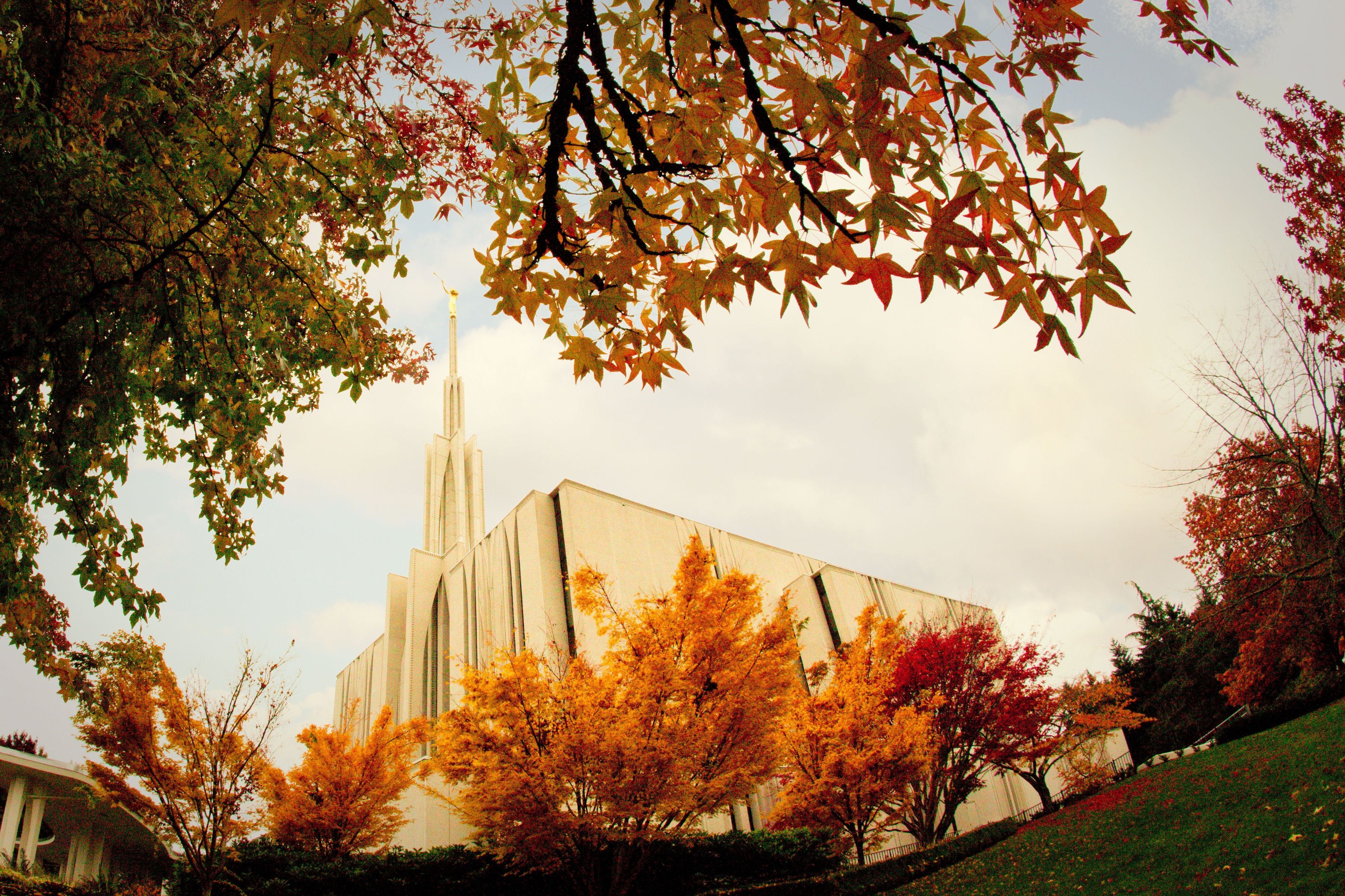 A side view of the Seattle Washington Temple in the fall, including the spire and scenery.