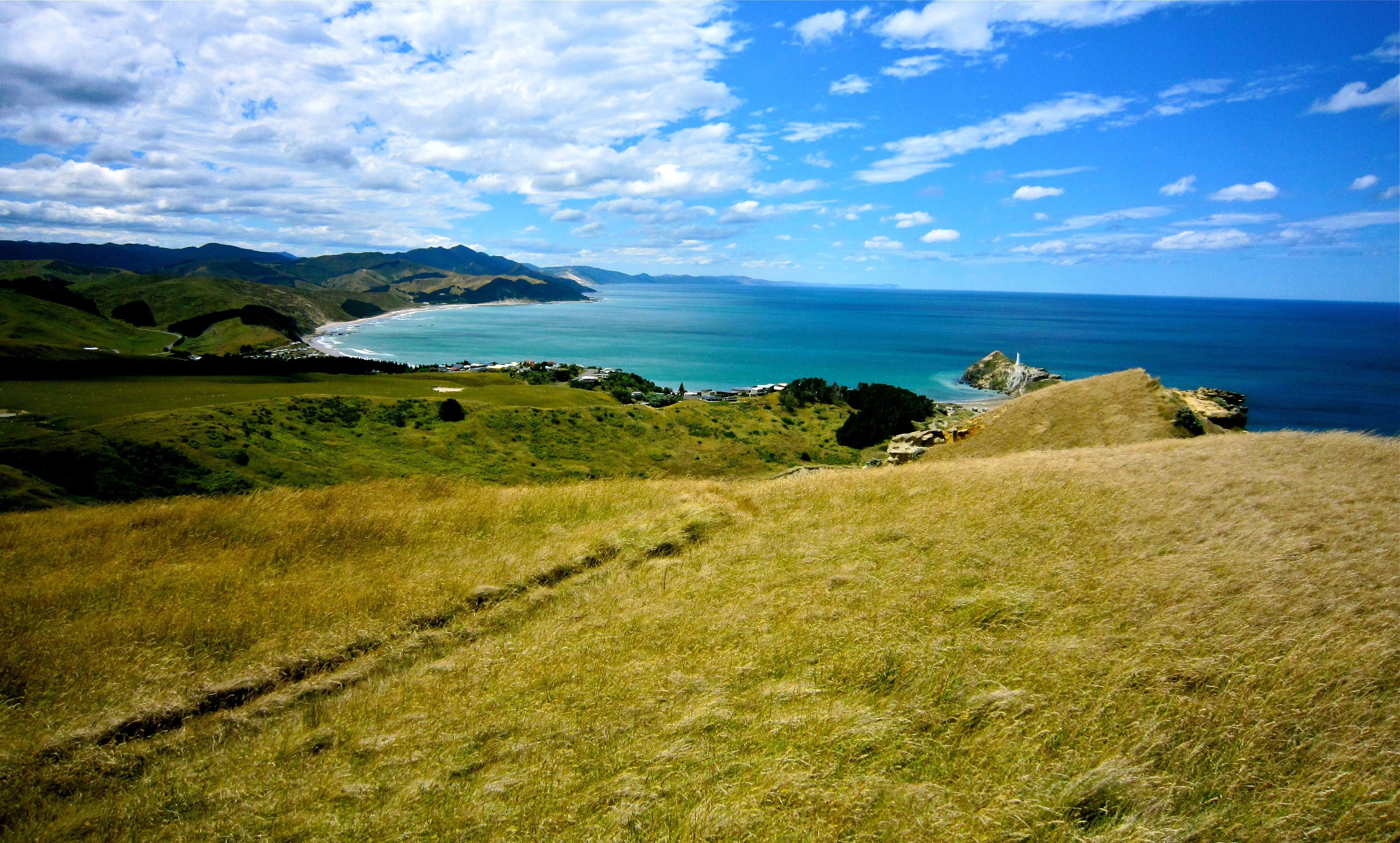 The New Zealand coastline during the daytime.