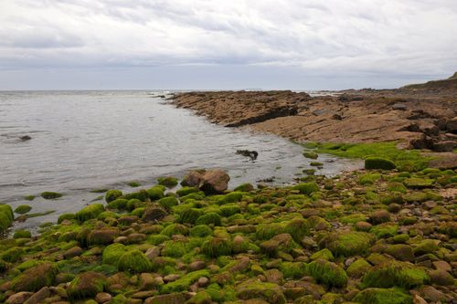 Rocks covered with green moss outline the coast in Scotland with clouds in the sky.