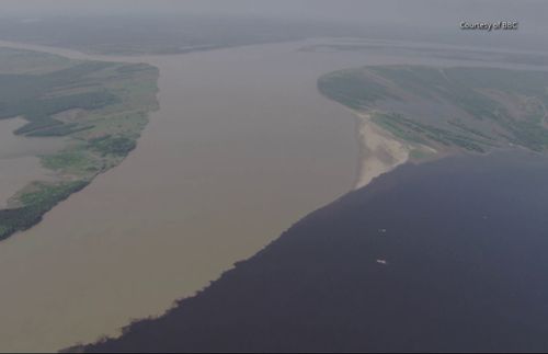 二つの合流した川からなるアマゾン川