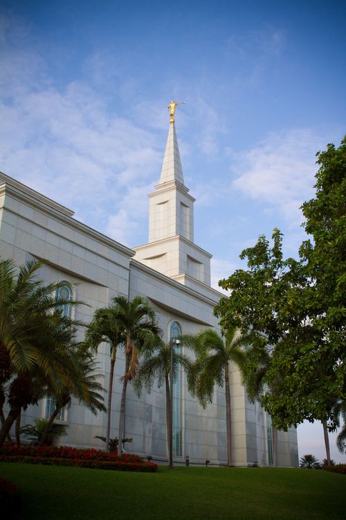 The spire and the angel Moroni on the Guayaquil Ecuador Temple, with a green lawn and palm trees below.