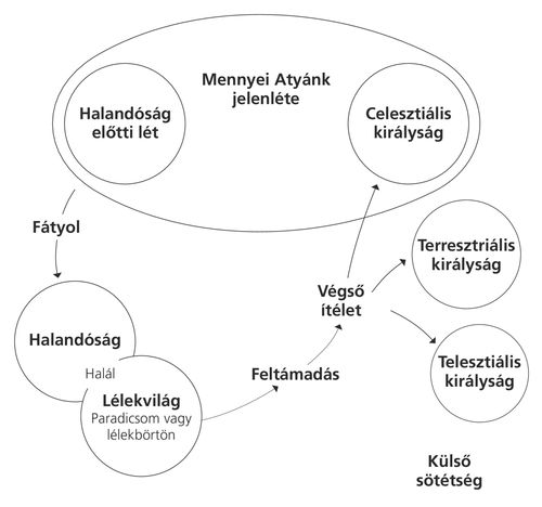 szabadítás terve