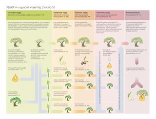 diagram of the allegory of the olive tree