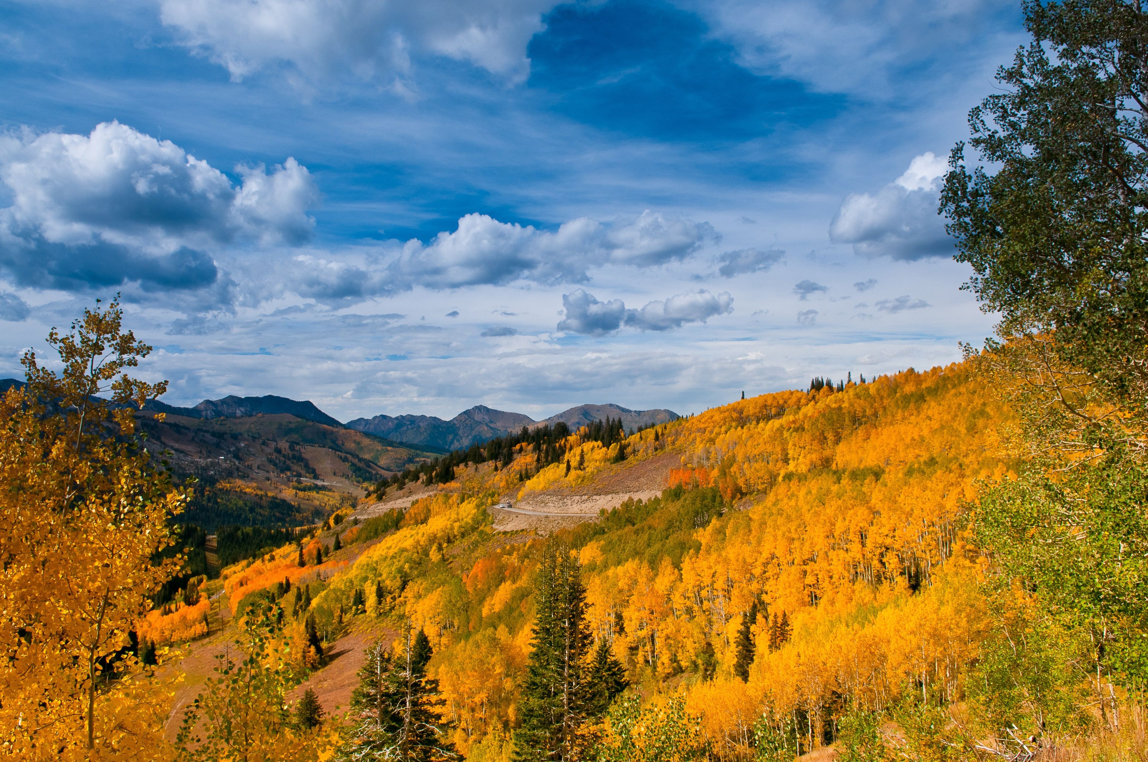 Mountainside scenery of yellow trees, with a blue sky and clouds above.