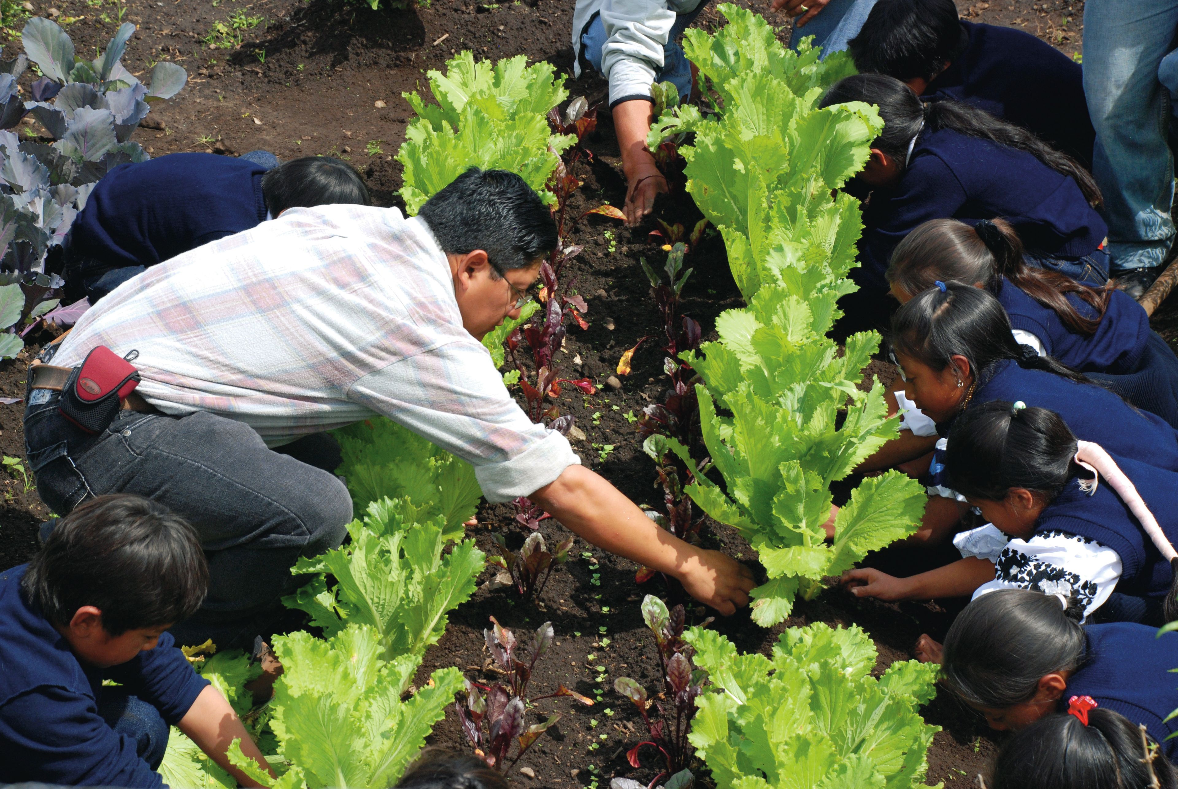 A man and children leaning over to collect weeds in a garden.