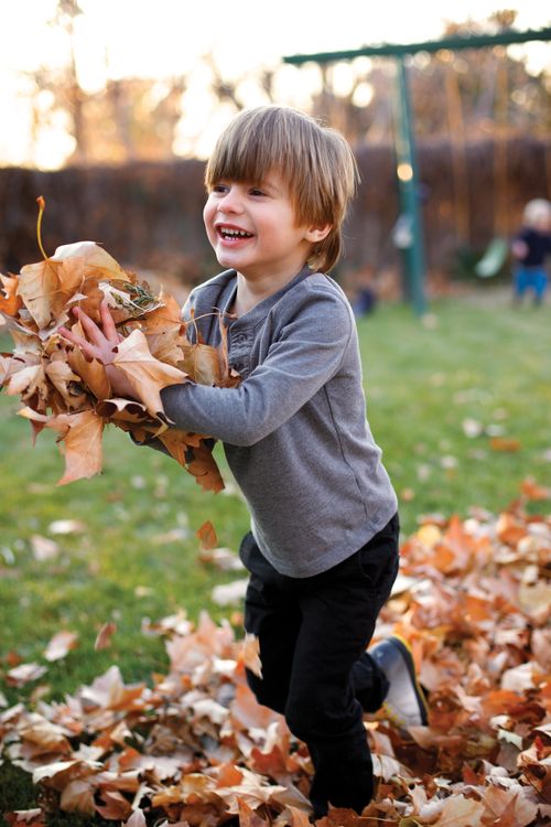 A little boy in a gray shirt picks up an armful of brown leaves while walking through a pile of leaves on the ground.