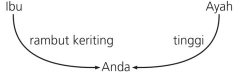 diagram, ciri-ciri yang diwarisi