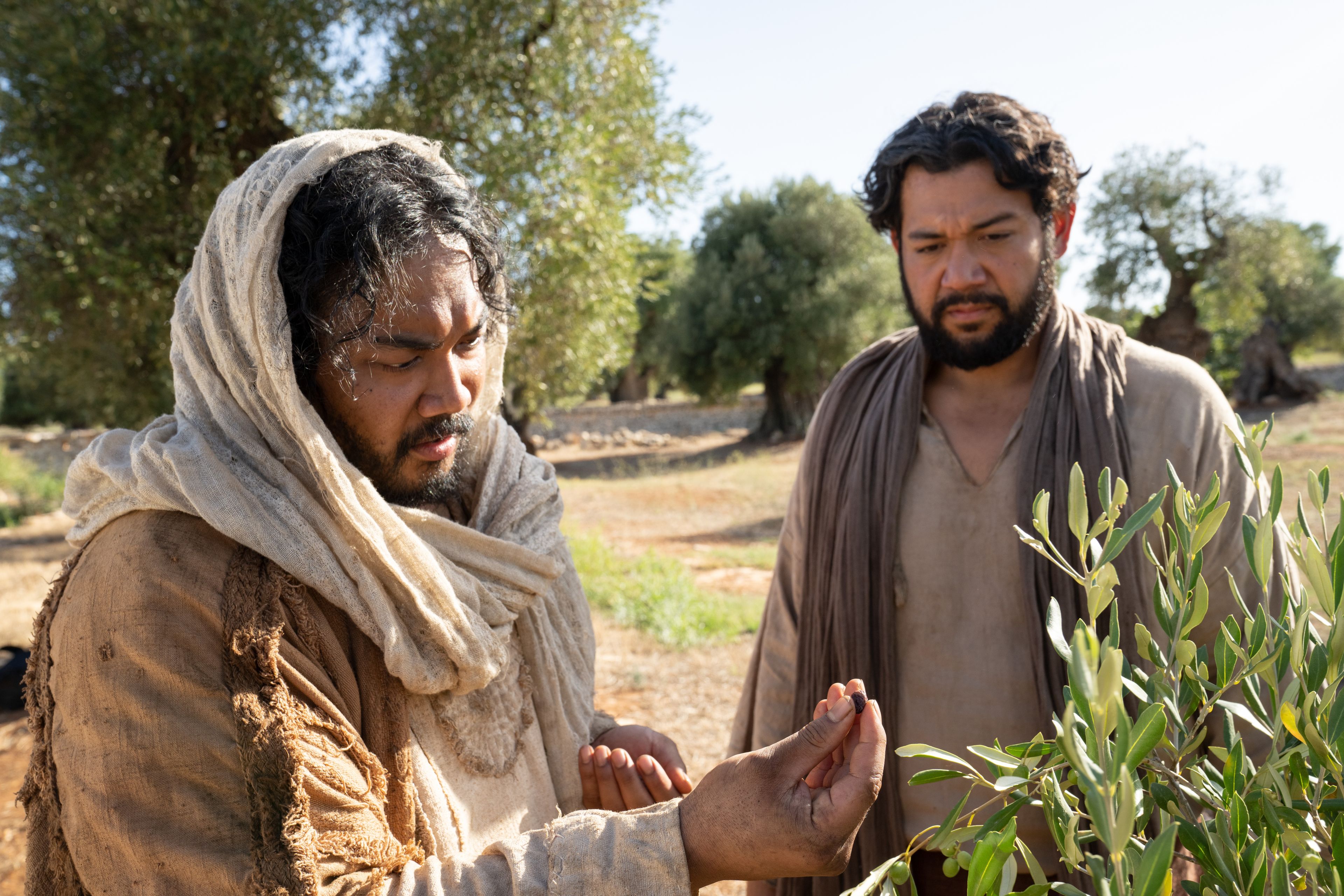 The Lord of the Vineyard and his servant go to the nether part of the vineyard to see that the natural branches have brought forth bad fruit. This is part of the olive tree allegory mentioned in Jacob 5.