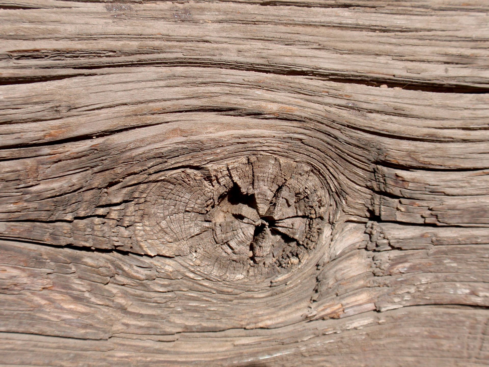 A large knot in a plank of wood.