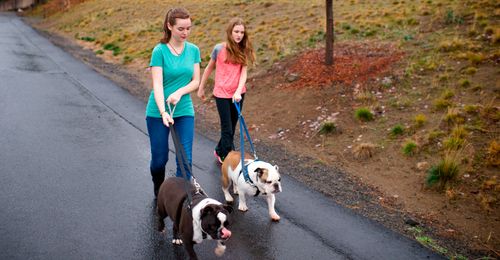 young women walking dogs