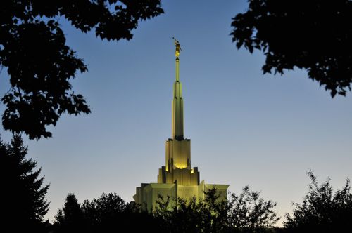 The spire of the Denver Colorado Temple, seen framed by the leaves of large trees and illuminated by the temple’s exterior lights.