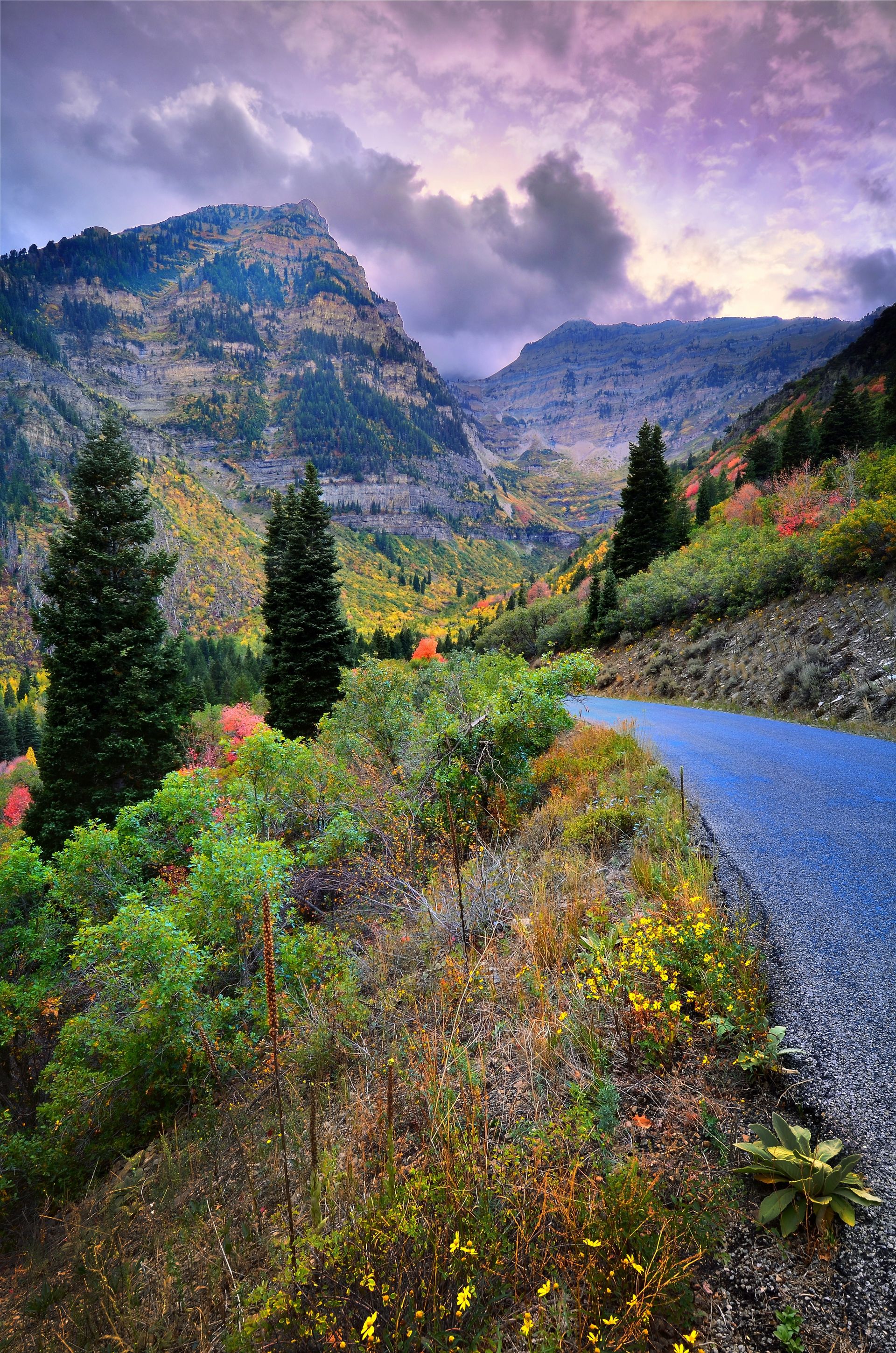 A road passing through a canyon of colorful trees in the autumn.