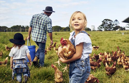 little girl holding a chicken