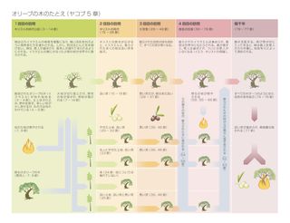 オリーブの木のたとえの図