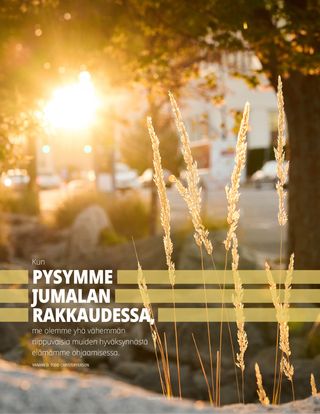 aurinko paistaa puiden läpi ruohonvarsiin